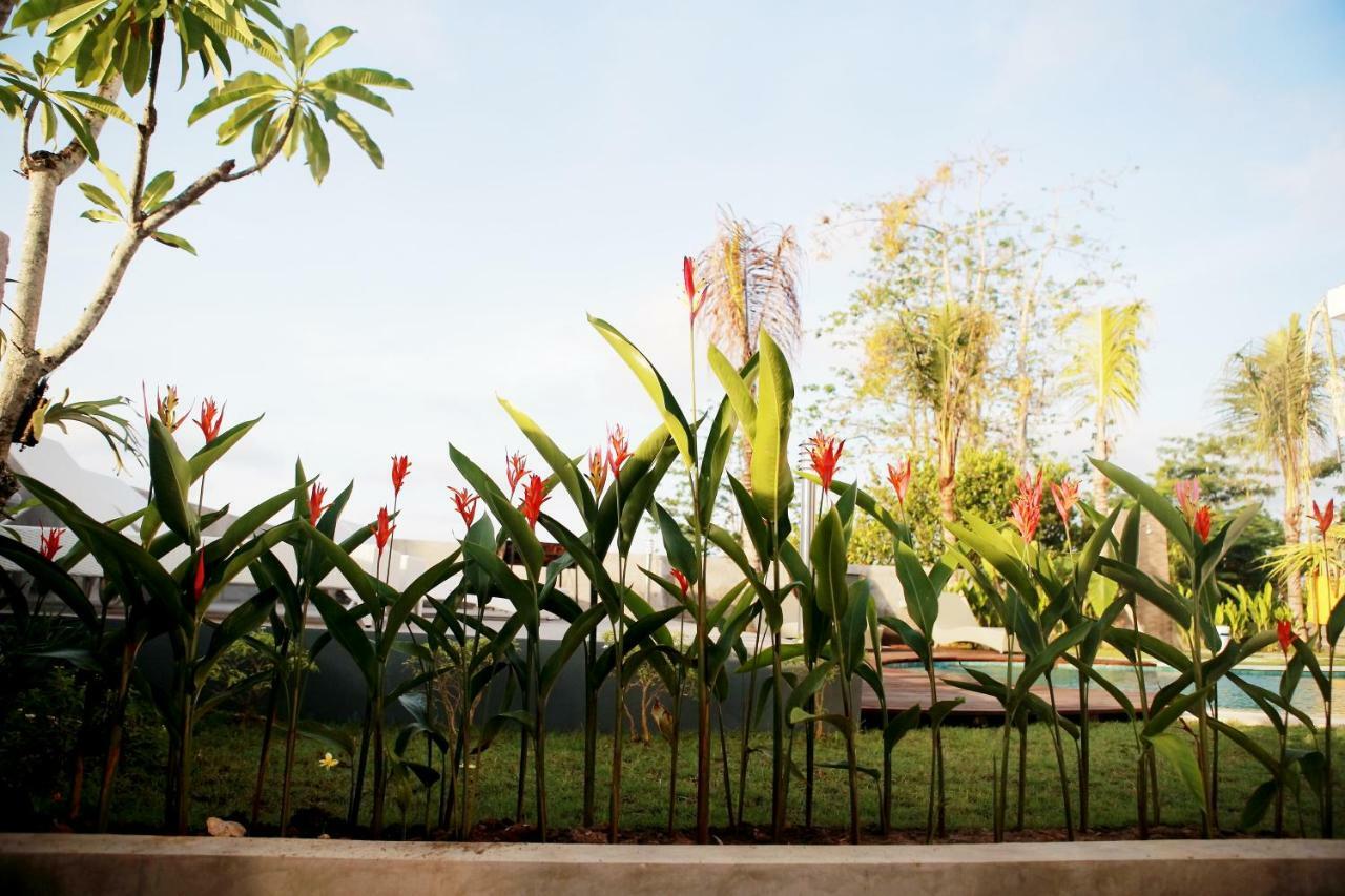 Vanilla Suite Jimbaran Exterior photo